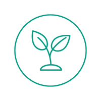 A teal line icon of a small sprout plant inside a circle on a white background.